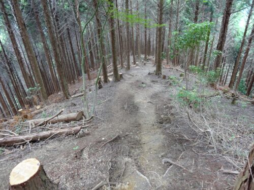 Dsc01295 山道歩き