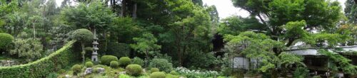 Dsc01311 三千院庭園