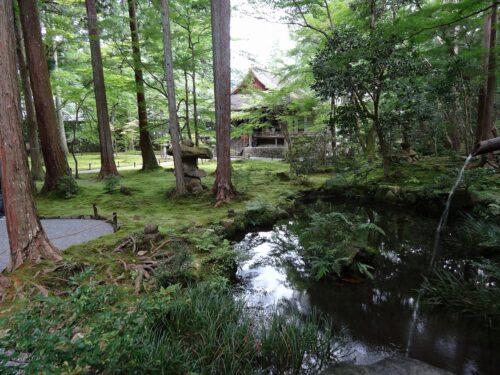Dsc01318 三千院