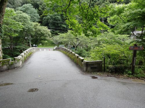 渡猿橋