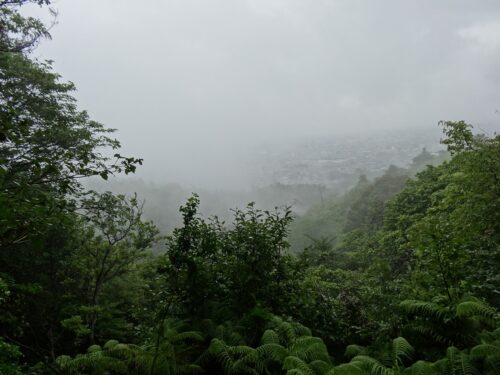 Dsc01625 濃霧