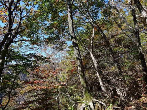 Dsc01843 急峻な登り