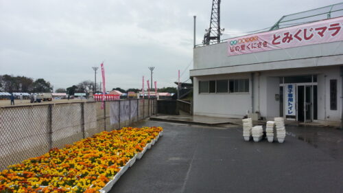 とみくじマラソン大会