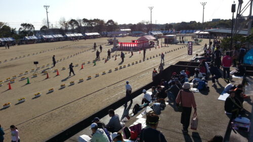 とみくじマラソン大会