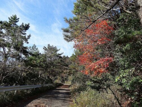Dsc01912 万年山