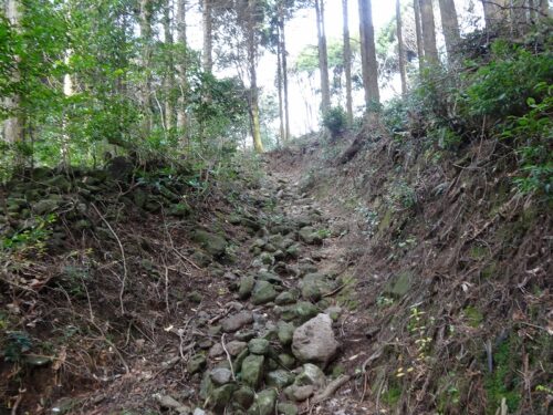 Dsc02010 山道歩き