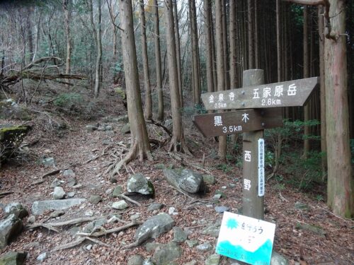 Dsc02038 道しるべ