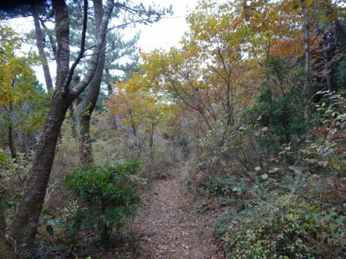 Dsc02057 山道歩き