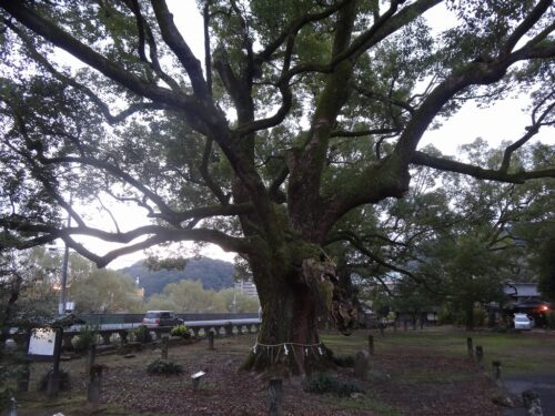 諫早神社