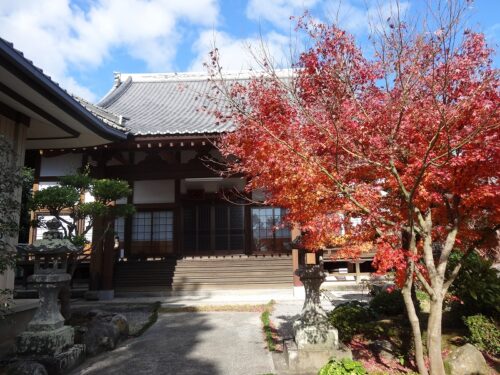 天初院