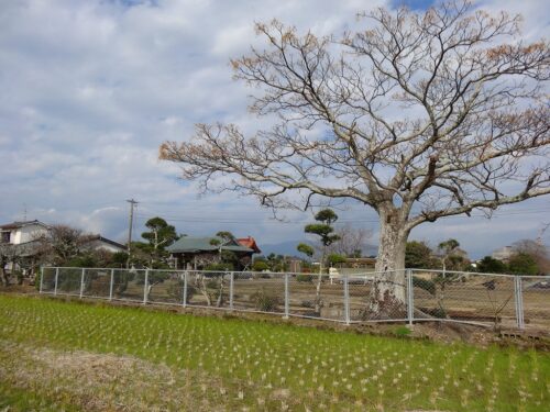 吉村天満宮