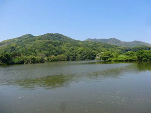 Dsc03653 ため池
