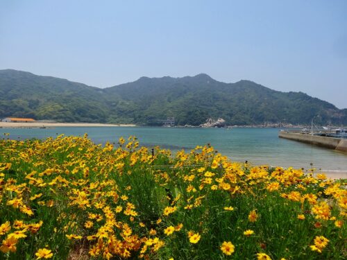 Dsc03703 芥屋海水浴場