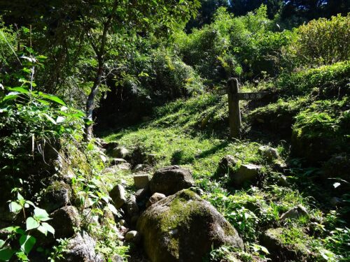 Dsc04700 山道へ入る