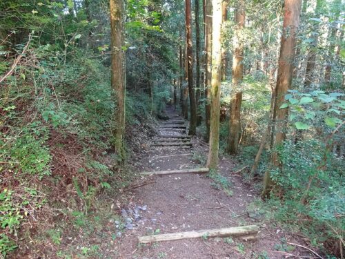 Dsc04727 山頂からの下り