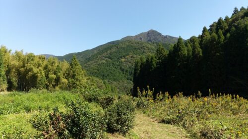 塔の坂