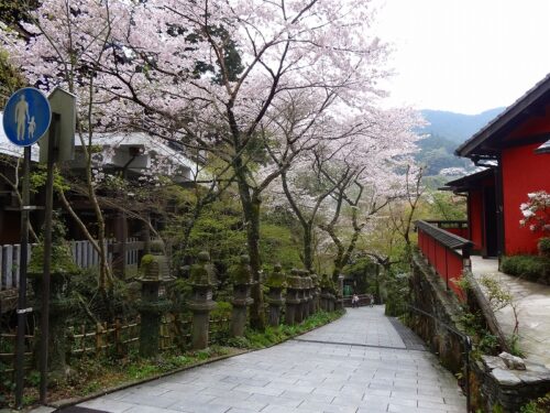 Dsc04869 南蔵院参道