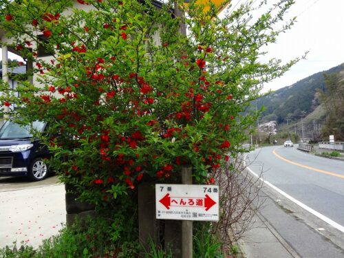 Dsc04871 へんろ道