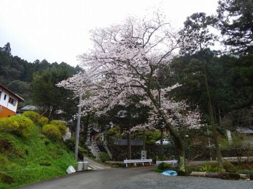 Dsc04884 65番札所 三角寺