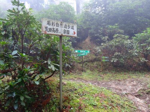 へんろ道