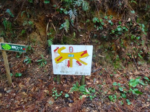 Dsc04932 へんろ道