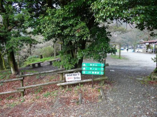 Dsc04942 若杉楽園キャンプ場