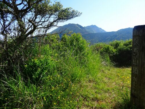 Dsc05481 矢岳 971m