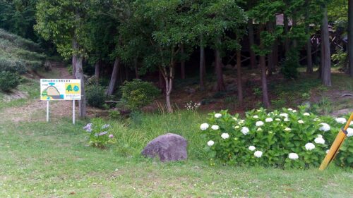 野外活動センター