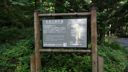 Dsc06024 吉田口遊歩道
