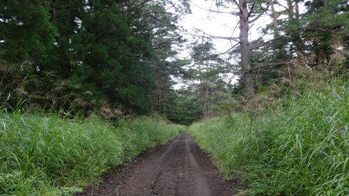 Dsc06043 吉田口遊歩道