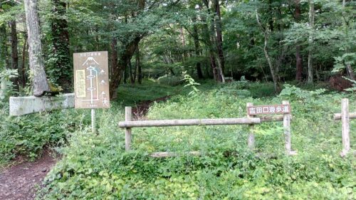 Img_20170907_080426 吉田口遊歩道