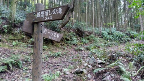 Img_20171123_113727 道しるべ