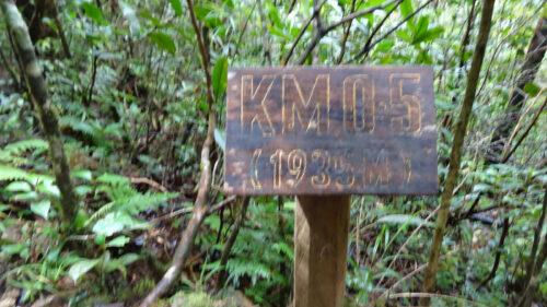 Dsc06204 登り