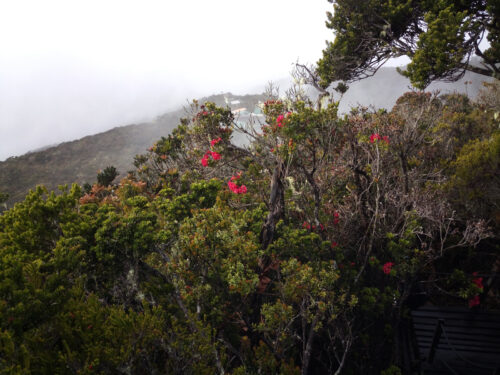 下山