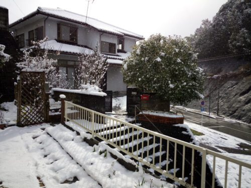 大雪
