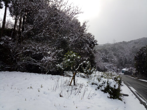 大雪