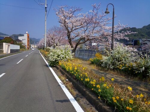 Img_20180327_103526 八郎川沿い