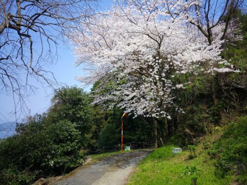 Img_20180327_131948 峠