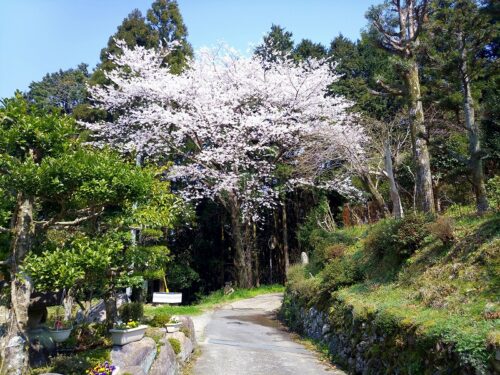 Img_20180327_135522 長崎街道