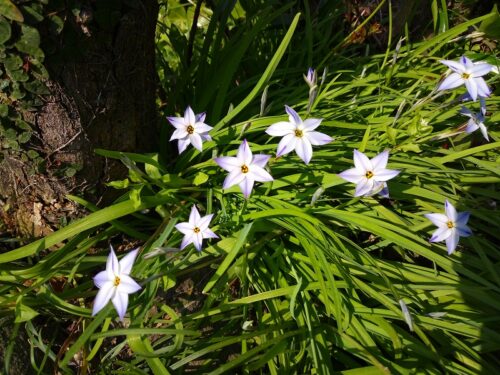 Img_20180327_142517 花ノ木集落