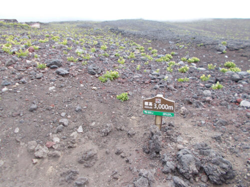 Dscn0046 標高3,000m 地点