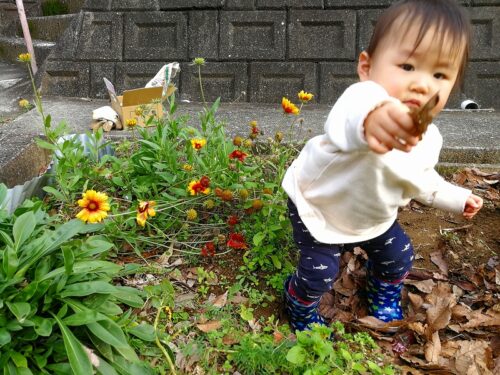 ひかる