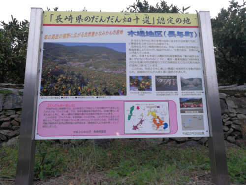 みかん畑
