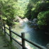 県民の森