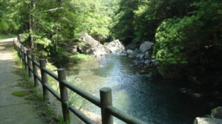 県民の森