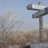 万年山　１１４０ｍ