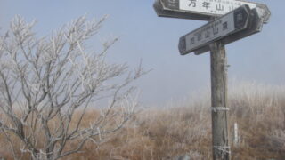 万年山　１１４０ｍ