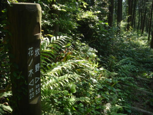 Dsc01498 道しるべ