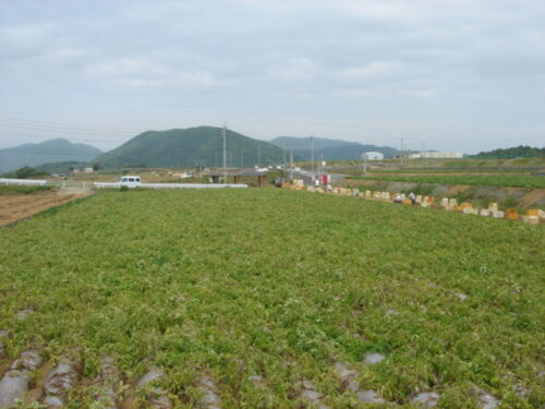 Dsc01506 ホテト台地