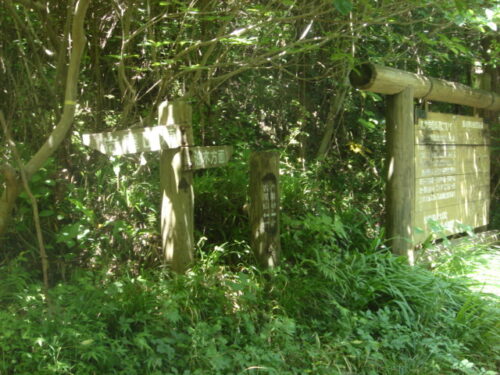 岩屋山へ登る